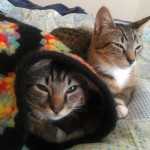 Mingus and Miles